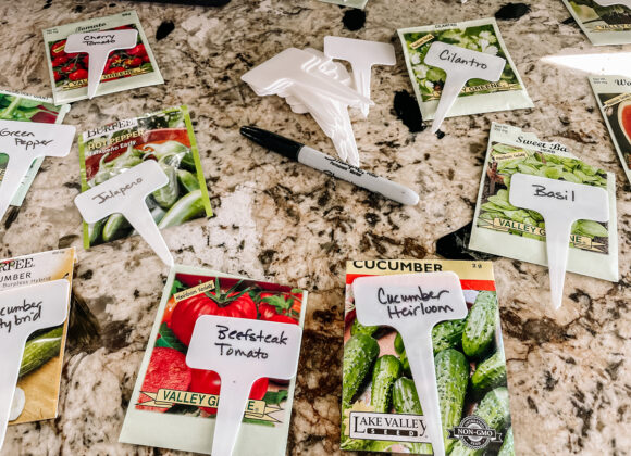 Beneath the Maple IMG_8651-1-580x420 How to Plant Seeds Indoors for Your Vegetable Garden  