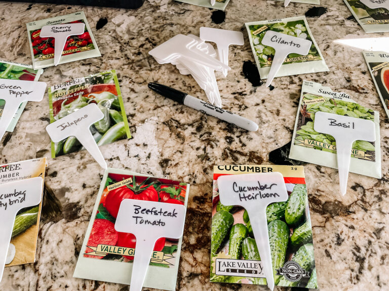 Beneath the Maple IMG_8651-1-768x576 How to Plant Seeds Indoors for Your Vegetable Garden  