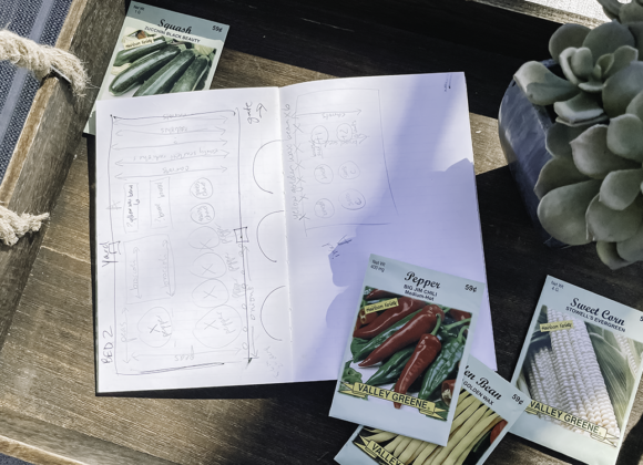 Beneath the Maple sketch-out-garden-plan-notebook-580x420 How to Plan Your Garden: A Step-by-Step Timeline  