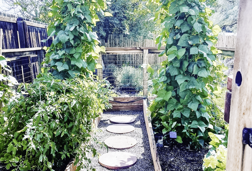 Beneath the Maple vegetable-garden-with-arch-trellis-1024x695 Designing Your Vegetable Garden - A Guide to Plant Layout  