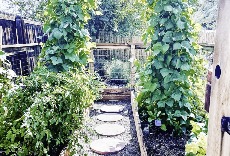 Designing Your Vegetable Garden - A Guide to Plant Layout - Beneath the ...