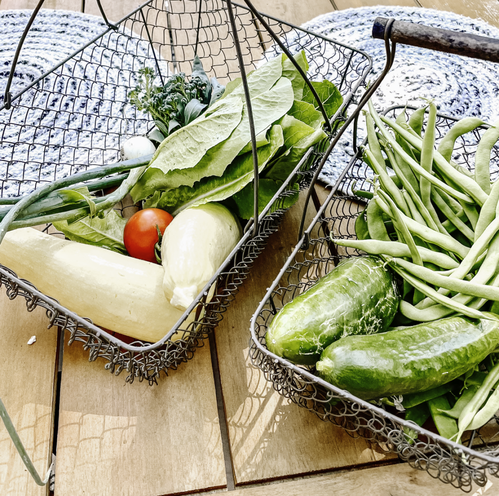 Beneath the Maple vegetable-harvest-in-basket-1-1024x1018 How to Plan Your Garden: A Step-by-Step Timeline  