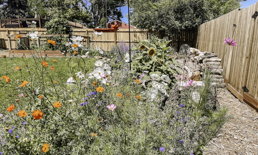 Beneath the Maple creating-backyard-garden-on-budget-830x499 Your Garden on a Budget: Our Best Tips  