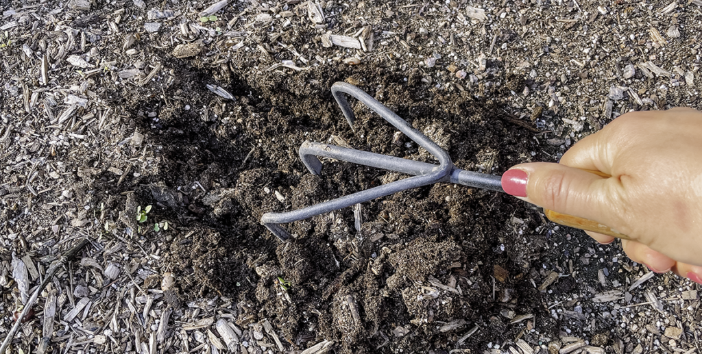Beneath the Maple garden-cultivator-1024x517 Gardening Supply Guide: Your Top 10 Must-Have Garden Tools  