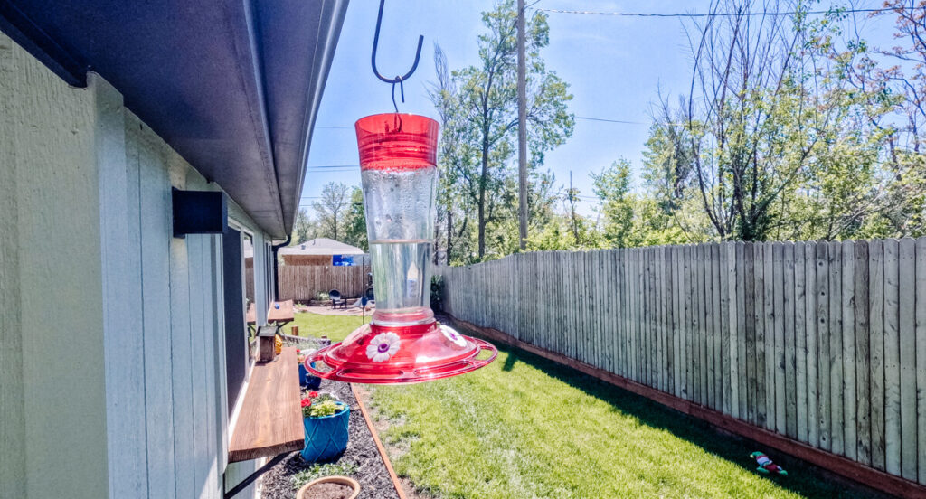 Beneath the Maple hummingbird-feeder-1024x552 The Benefits of Attracting Birds to Your Yard  