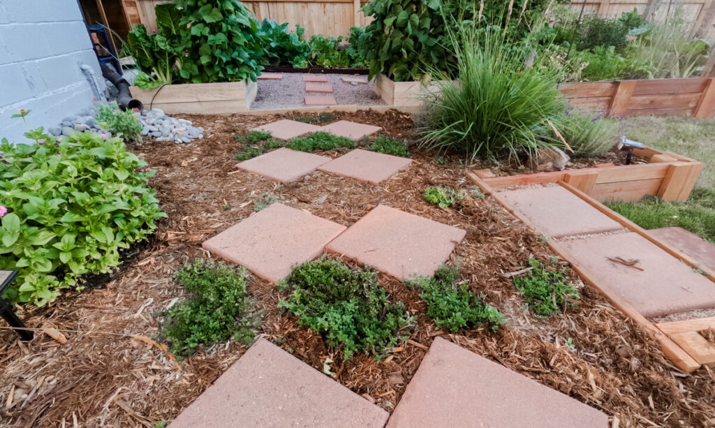 Beneath the Maple pathway-stones-with-groundcover-e1692366334705-1024x613 How to Landscape a Sloped Yard: 8 Creative Tips to Consider  