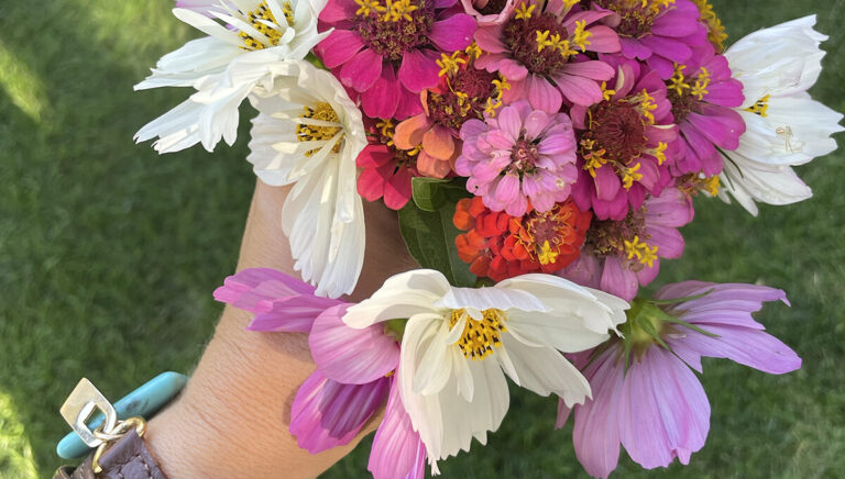 Beneath the Maple bouquet-flowers-from-garden-768x436 Colorado Cut Flower Garden: The Best Drought Tolerant Choices  