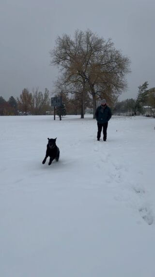 Our first really snowy week! Max loves it. #denversnow